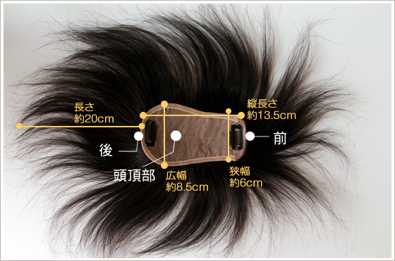 TP100B�T���v���ʐ^