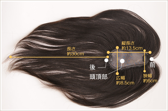 TP100R-MONO�T���v���ʐ^